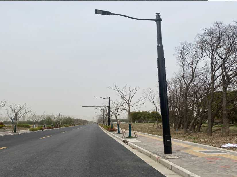 平桥区上海综合杆 太阳能路灯工程